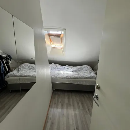 Apartment Spacious And I 250m From Bryggen *